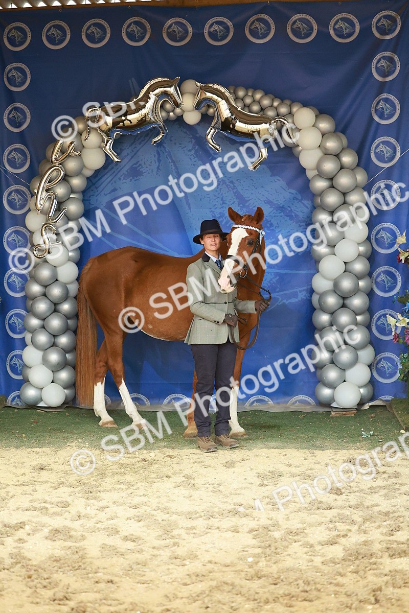 SBM_13715 - Class 104 - IH  Costume