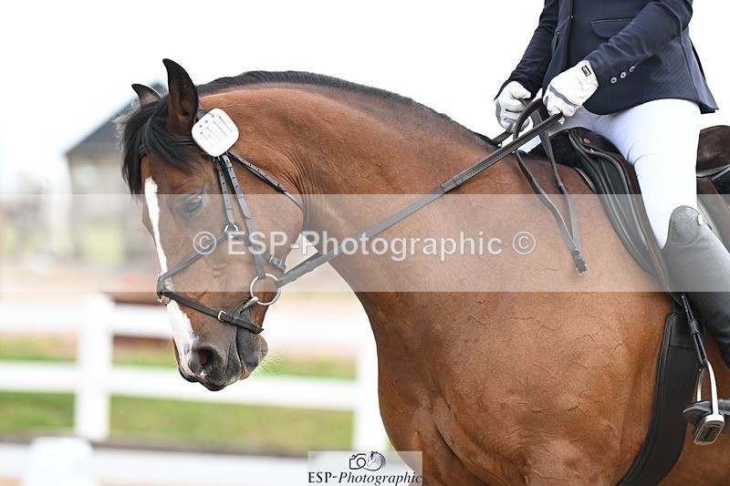 250620-110954-02774 - BD Cls 4 - Novice 5, Start to 11.30am