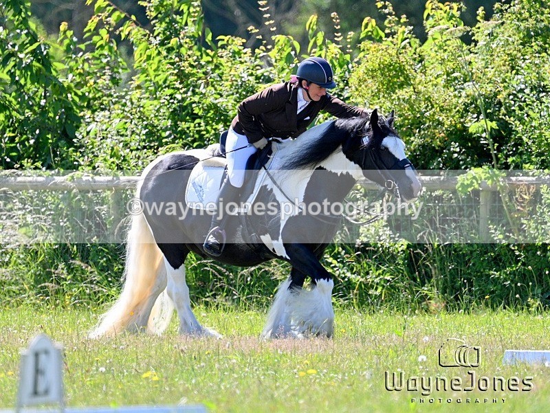 WJ7_8536 - Area 6 Dressage at BCA 29-06-24