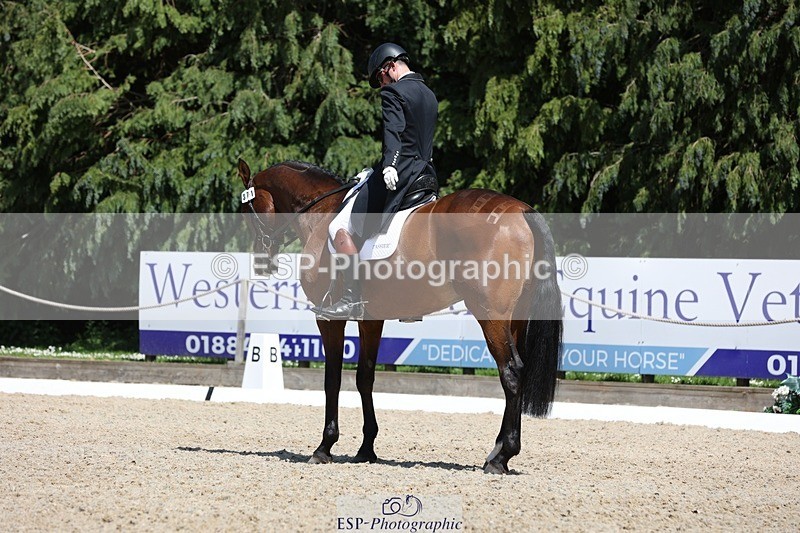 230526-141022-06467 - 371-JERPOINT_ECLIPSE-Max_Gordon-WEDTrotUp+DR