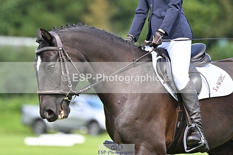 230826-121141-18285 - PC70 Plus