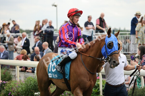 yr04092022r2-4 - Race 2 2.20pm John and Judith Marshall Memorial Stakes