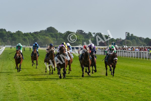 270523-Race 6-Quantum Impact-4540 - Race 6 4.25pm Royal Yorkshire Regiment Handicap