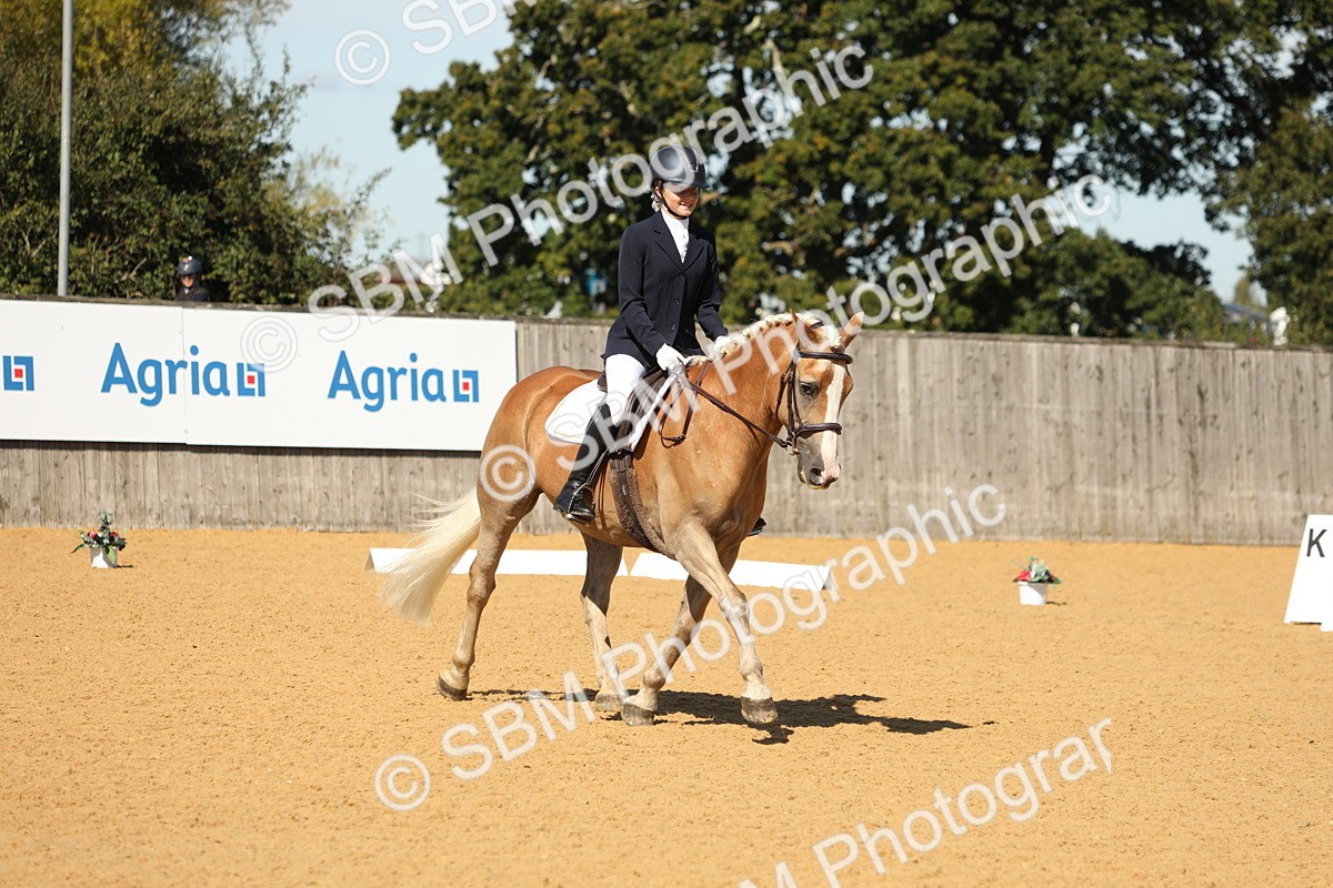 SBM_19727 - D10 - Small Tour Championship - Prelim 2