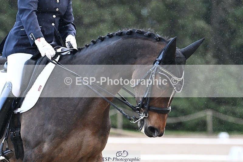 231110-150016-02087 - Cls 8 Medium 75Q