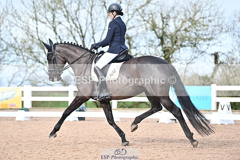 240218A-115640-06923 - 204-Elder.Klatzko-Dynasty.Hit