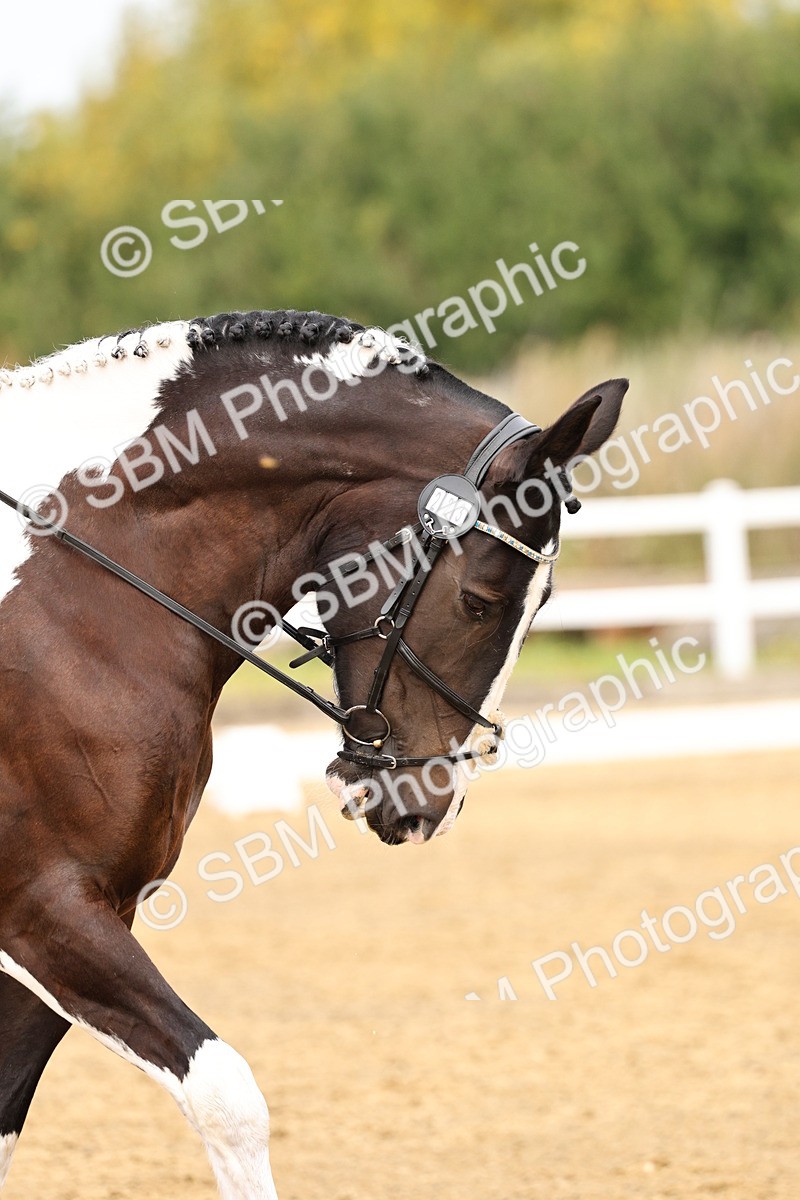 SBM_012220 - Class 2 - Prelim 5