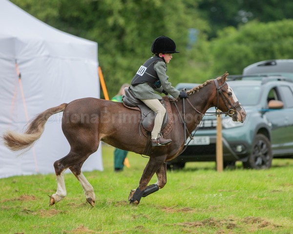 Dunblane show-24 - Dunblane and Doune Show Ring 1