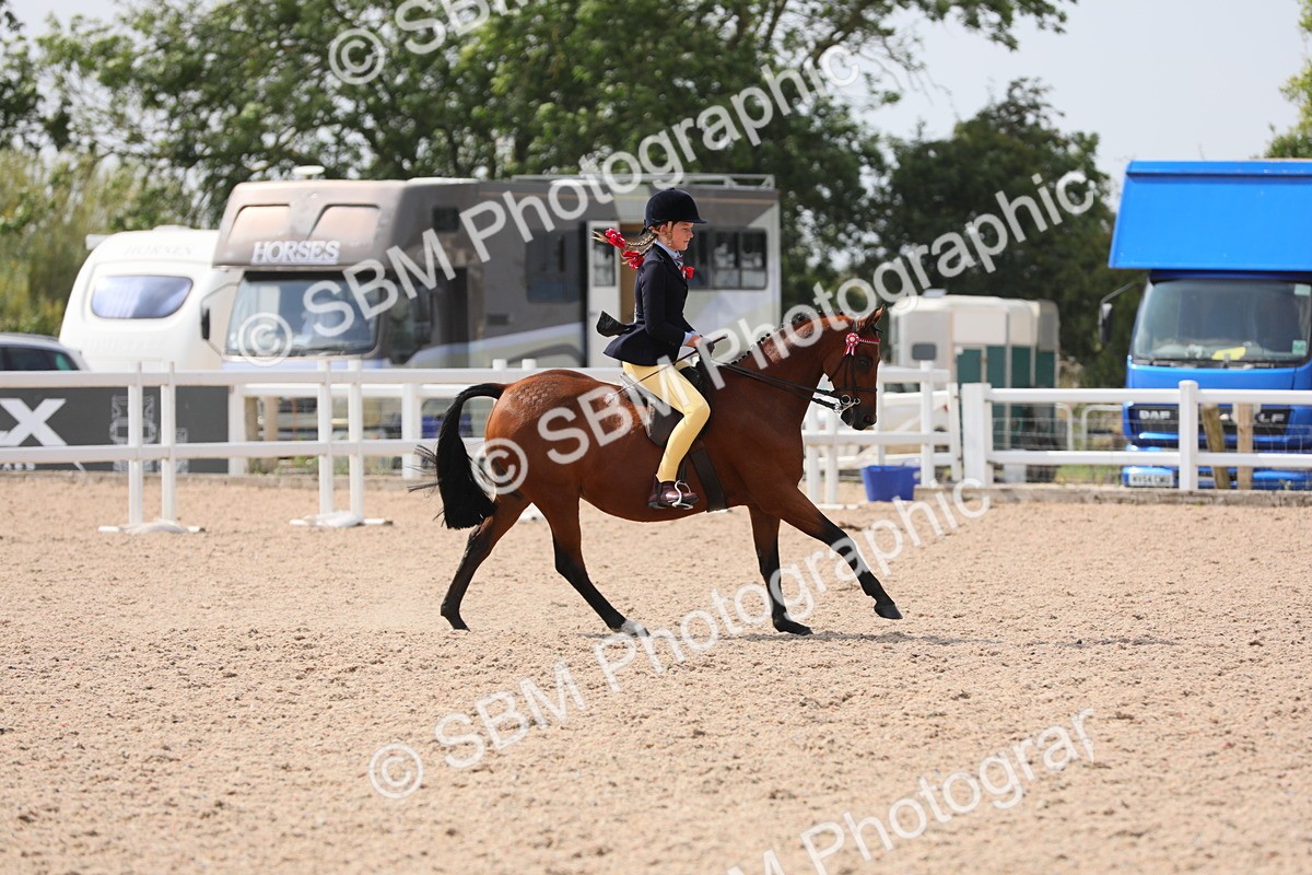 SBM_15596 - Class 311 Ridden Show Pony/ Show Hunter Pony