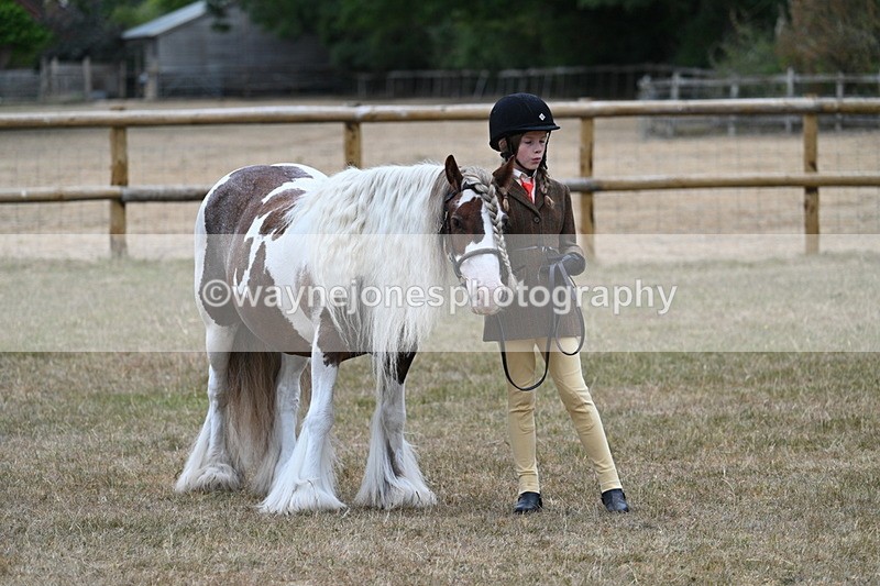 WJ7_8098 - Class 4 Prettiest Mare up to 14.2hh