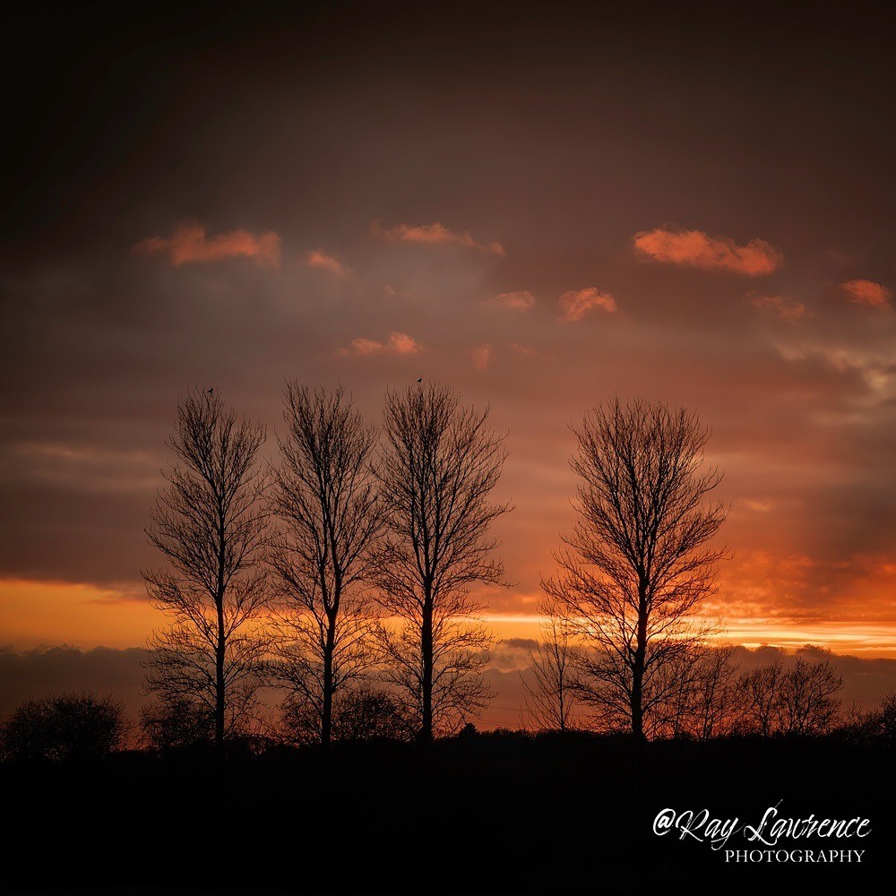 RLP_5528-903a - Close to Home