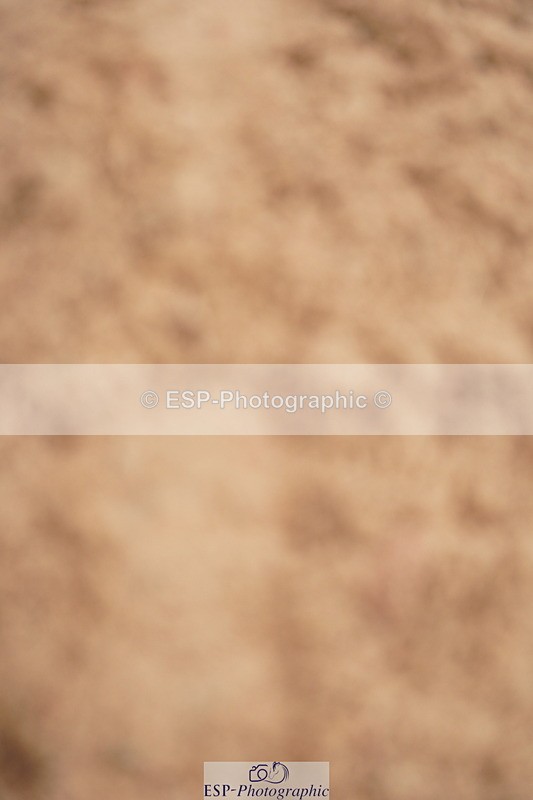 240506A-103718-08314 - Cls 13 Winter Summer 128cm & 138cm