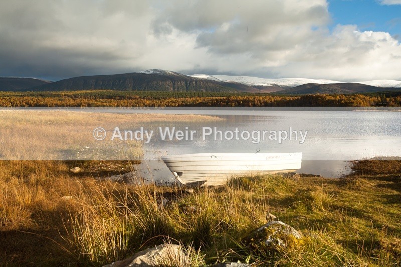 20101024-2925 - Scotland