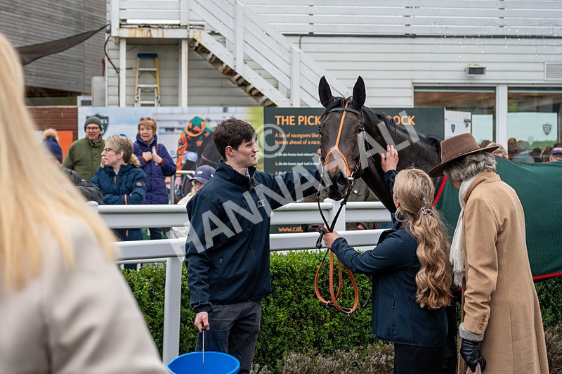 281225-Race 4-Ninna Collina-3781 - Race 4