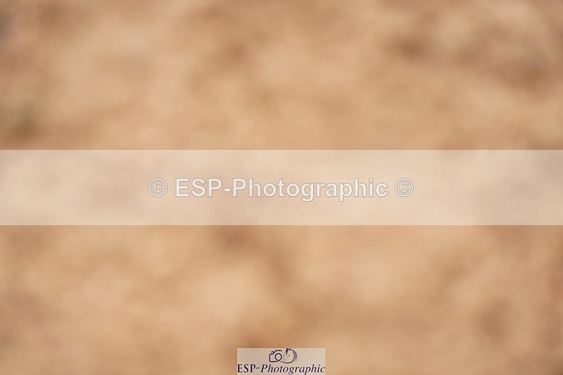 240526A-110608-07726 - Cls 26 Chard Equ 1.05m and 1.10m Grand Prix