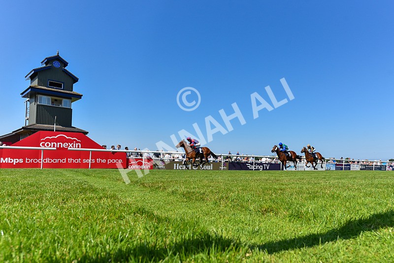 250624-Race 5-Drink Dry-9392 - Race 5