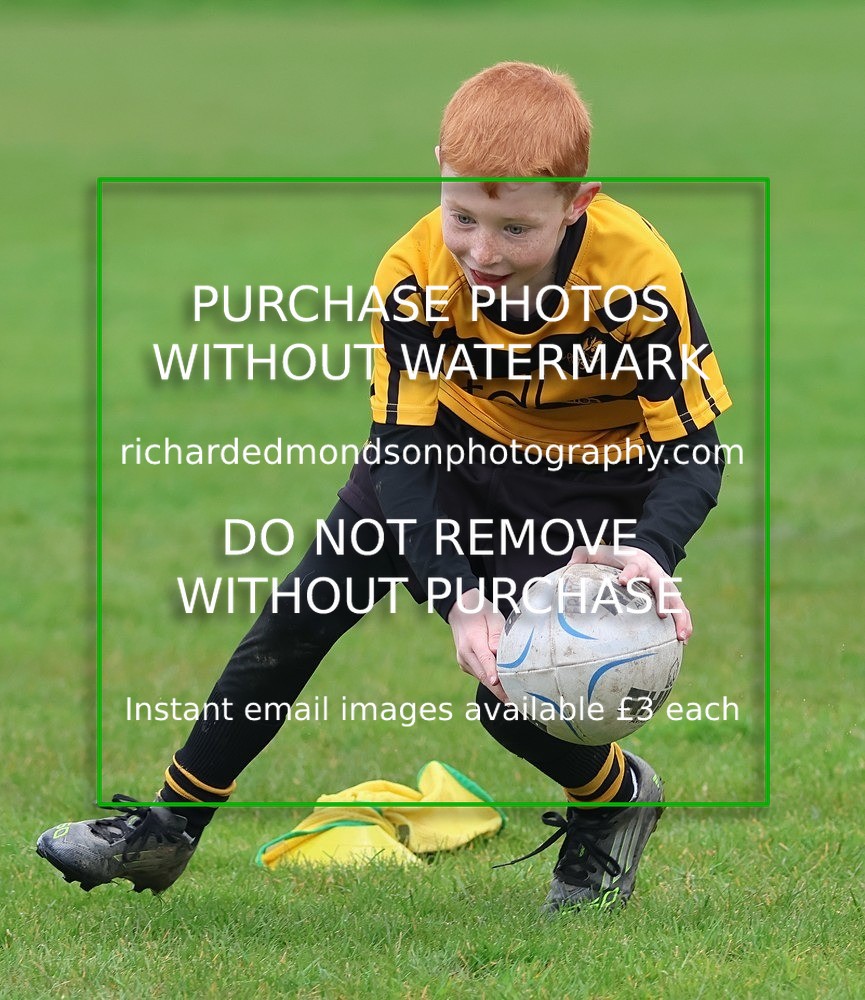 533A5257 - Kendal Rugby Under 7's (12/4/26)