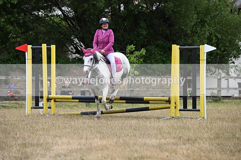 WJ6_0102 - Class 13 Novice Jumping 60cm
