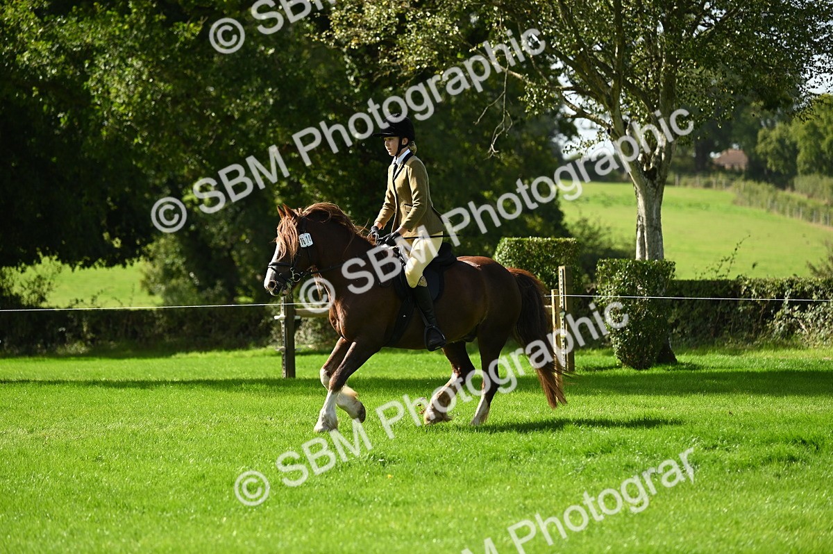 SBM_02777 - S3 - TSR Ridden Pony Showing