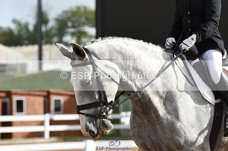 230912A-100732-00248 - Cls 2 Prelim 19