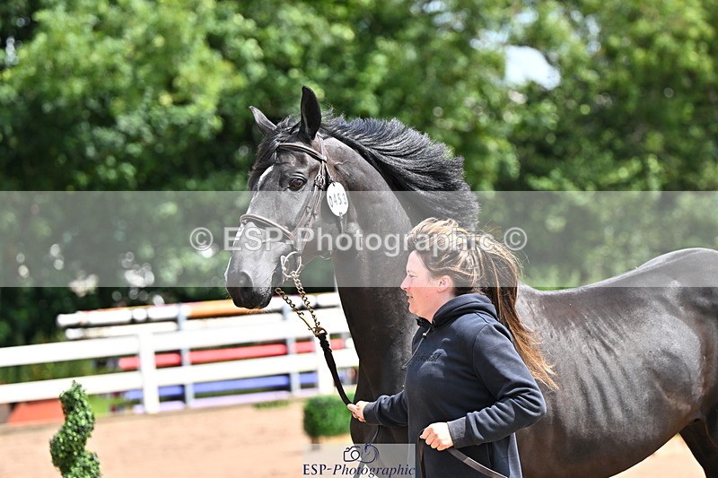 240718A-105241-01029 - Trot Up 11am to 12pm
