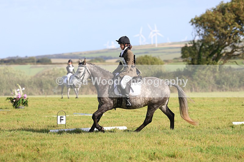 3E7A5772 - Class 1: Trebudannon Open: Dressage (Part 2)