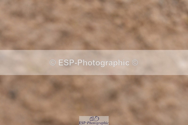 240121A-094324-00261 - Cls 2 Prelim 17A