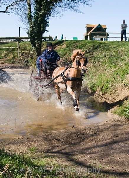 _DSC8828 - Ashfields Carriage & Polo Club