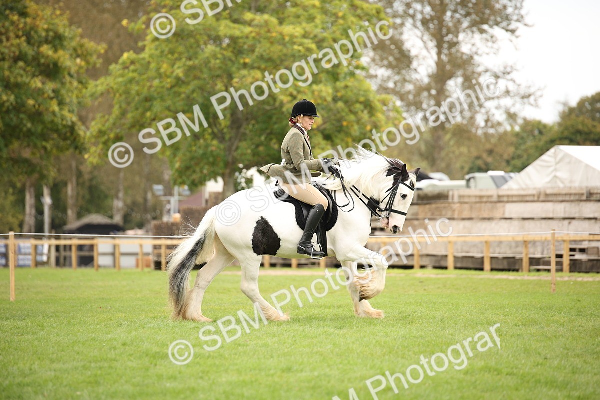 SBM_73541 - S68 - Traditional Cob Ridden