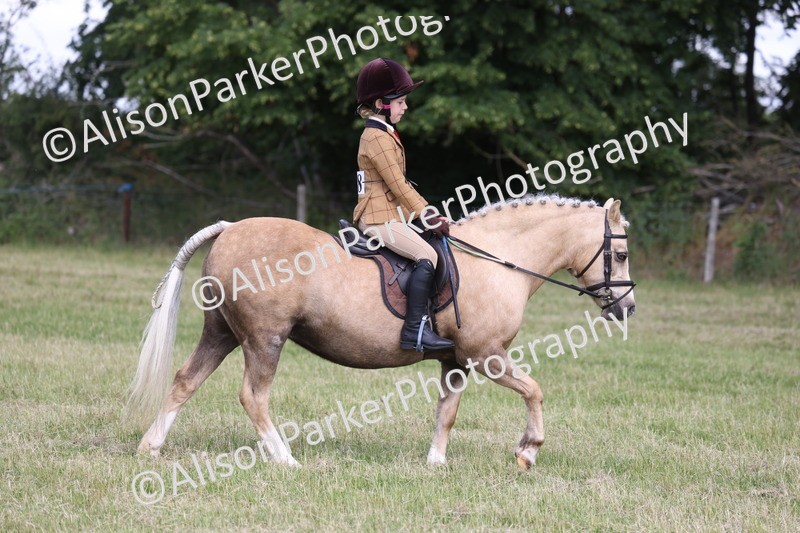 20260614-0807 - Class 20 - Beginners Working Hunter Pony