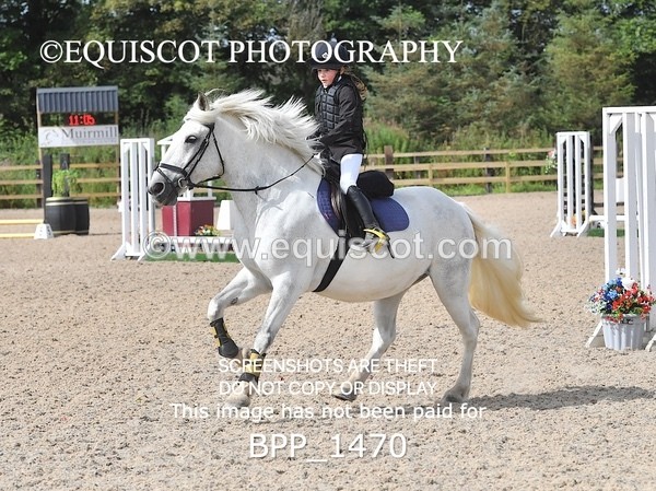 BPP_1470 - DERBY CLASS 3 - 40CM