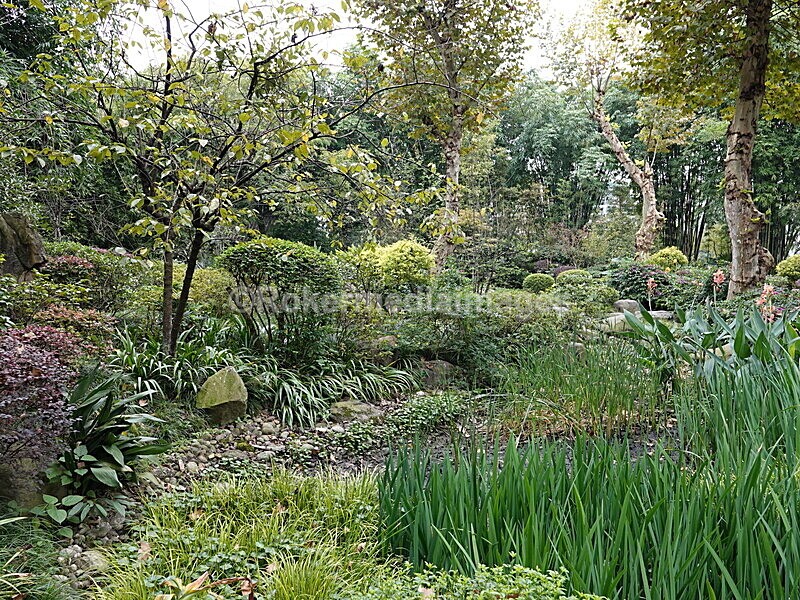 CHINA__0327 - China 2019