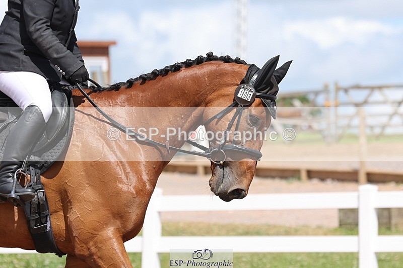 240706A-151411-03679 - Cls 4B Snr Novice 30