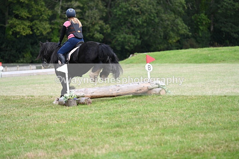 WJ7_7908 - 40cm Time 10:49 to 11:18