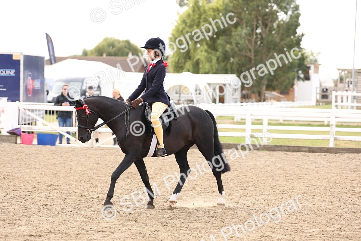 SBM_04248 - Class 54 - Riding Club Horse/Pony