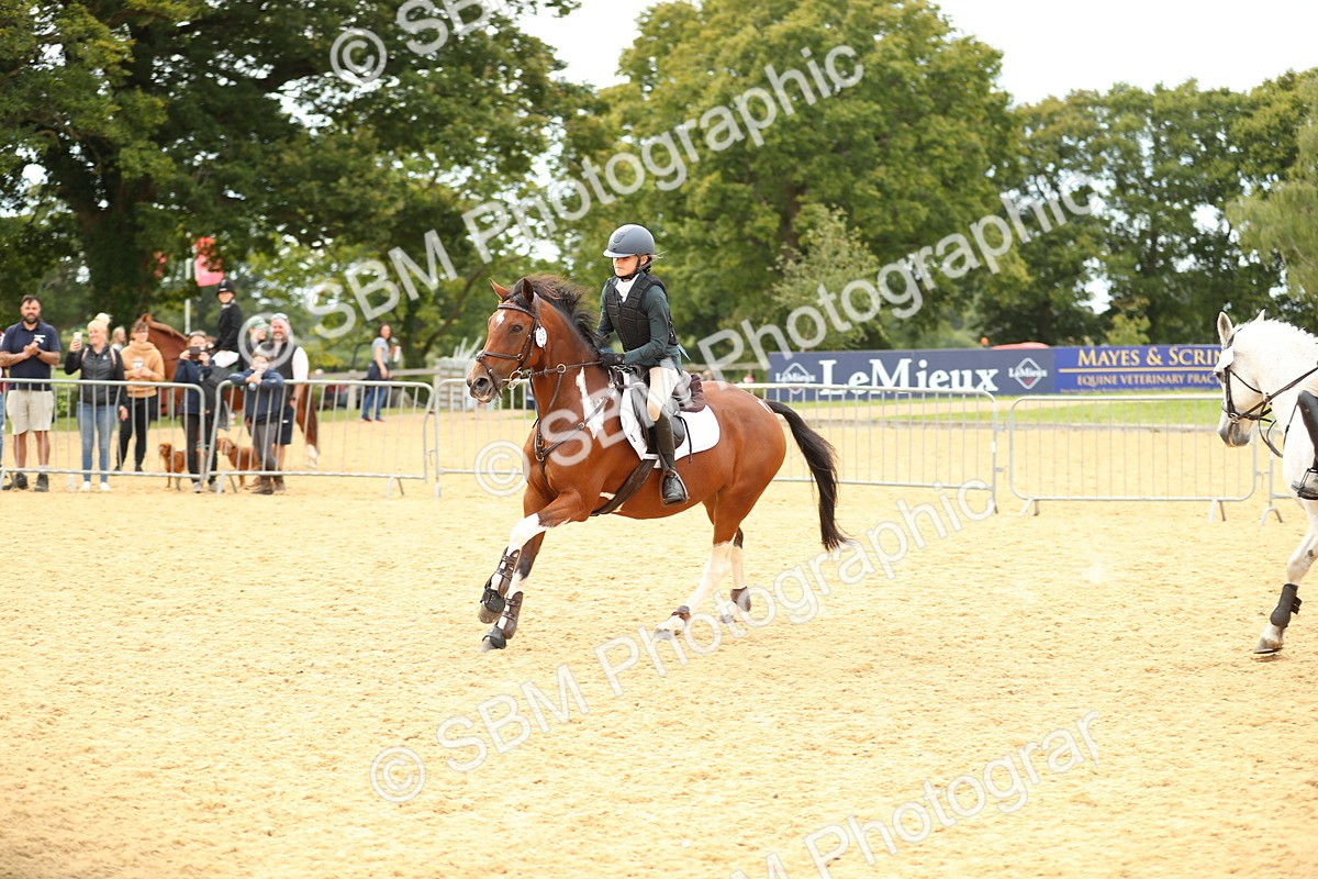 SBM_71377 - J18 - Junior Pony 85cm Championship