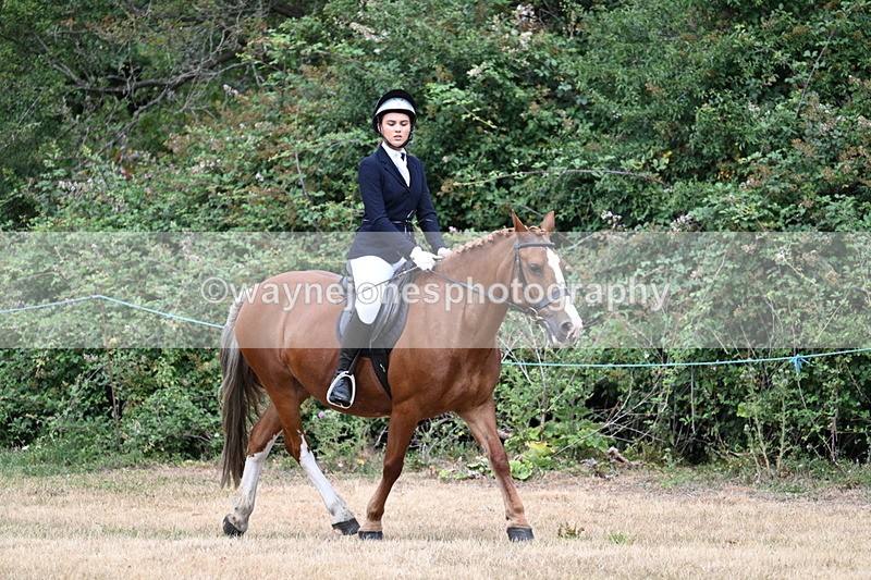 WJ7_0527 - Class 2 Best rider