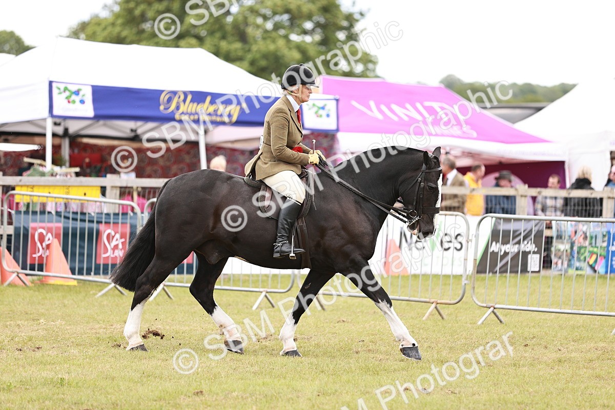 SBM_14083 - Class 85-87 - RIHS Cobs