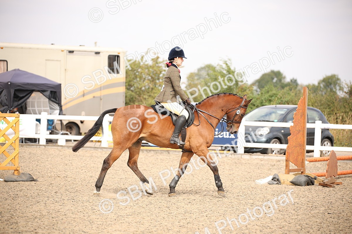 SBM_12900 - Class 406a - Working Veteran 50cm (15-19)