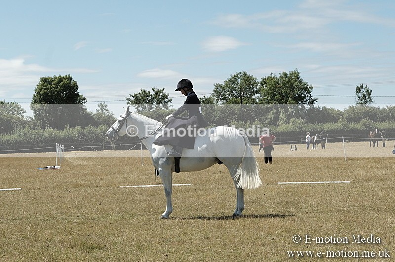 _PJP5961 - Dressage Classes BVRC Show 2018
