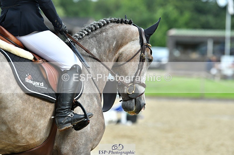 230715-093722-32279 - Cls 84 4 yr old Champ