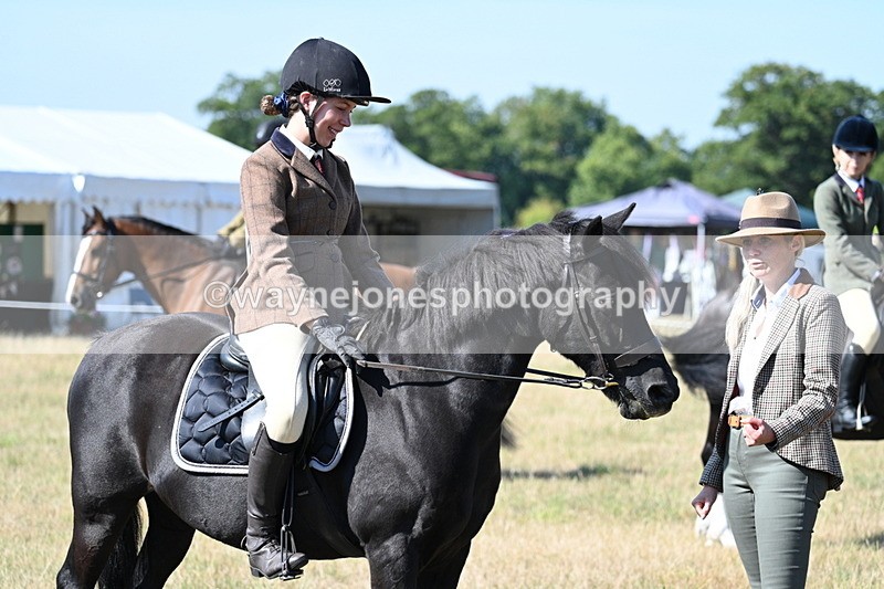WJ7_3778 - Class 9 Mountain & Moorland Ridden