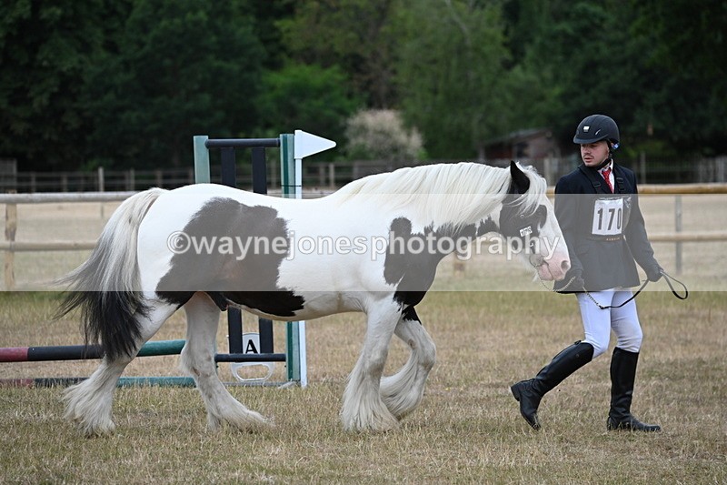 WJ6_7808 - Class 10 Coloured in Hand