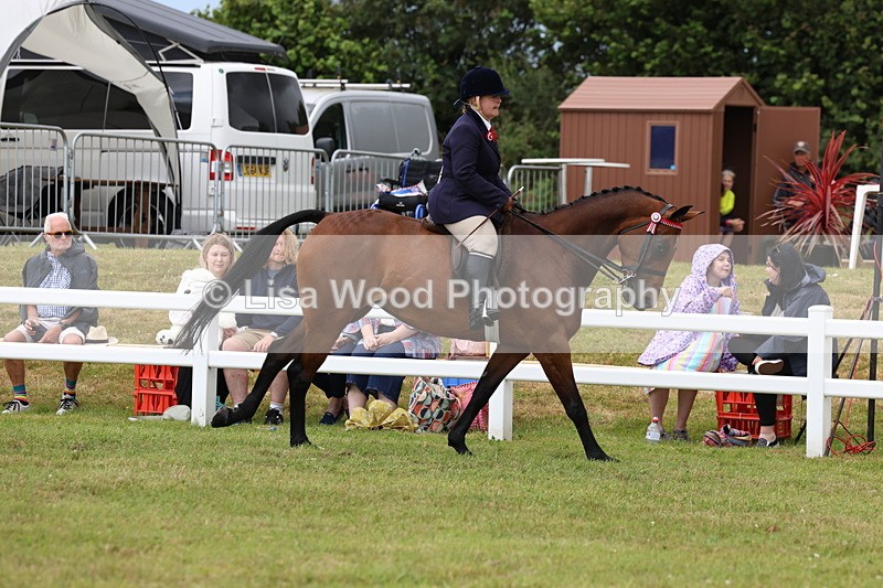 3E7A0894 - Class 8: Open Riding Horse/Hack