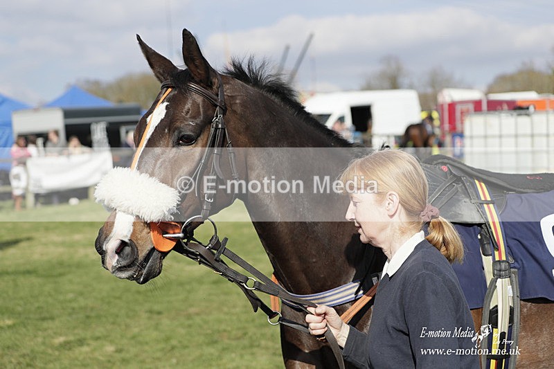 PtP 080423 701 - Dingley Races The Woodland Pytchley Hunt PtP 08/04/23