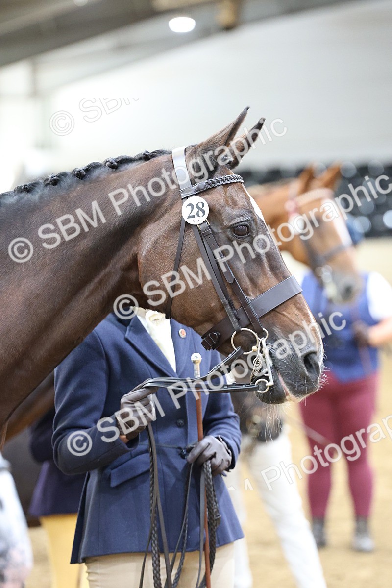 SBM_21864 - Class 901 - Supreme Final - IH  Diamond