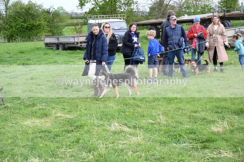 WJ6_8476 - Class 6 Best Rescue