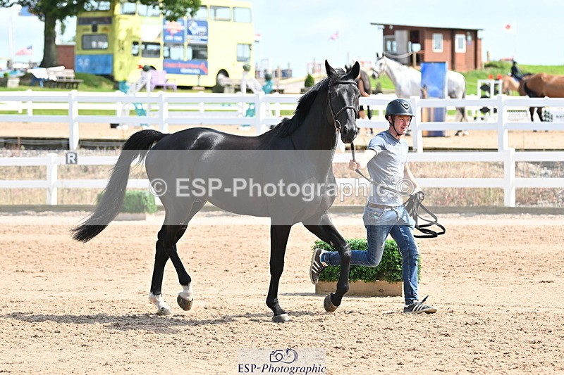 240717A-155029-03094 - Trot Up 3pm to 4pm