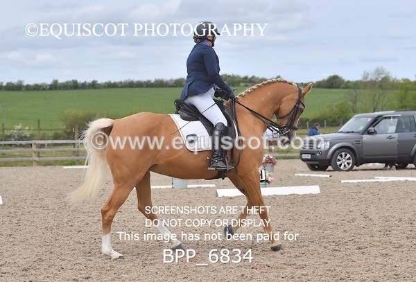 BPP_6834 - 3 D HARRISON