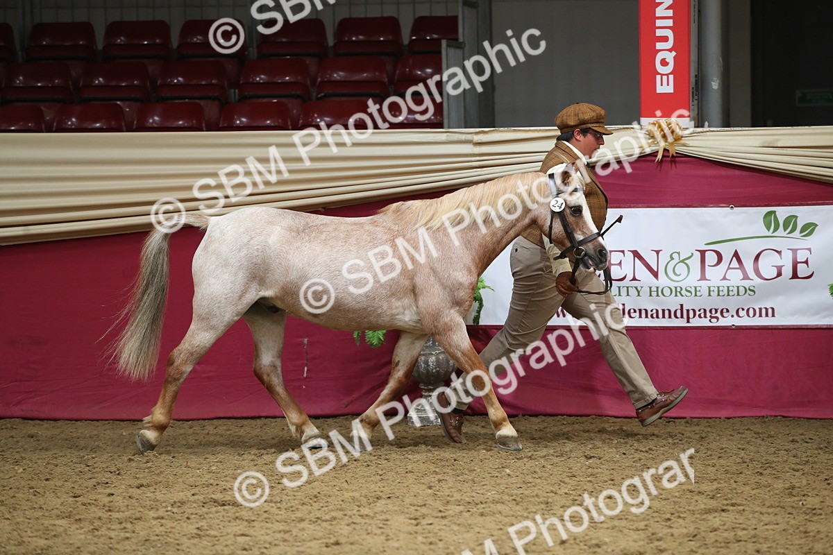 SBM_05259 - Class 8R - Regional IH Veteran